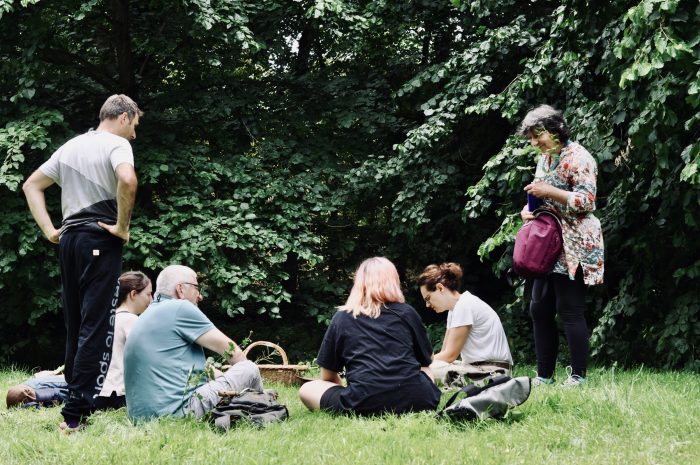 Groupe en initiation à la cueillette des plantes sauvages dans le parc de Saint-Cloud