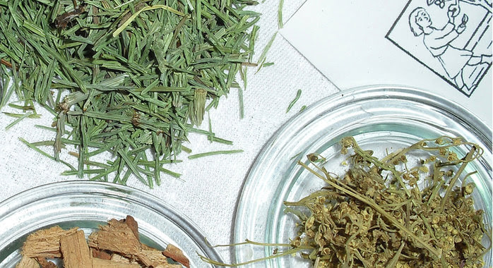 plantes médicinales