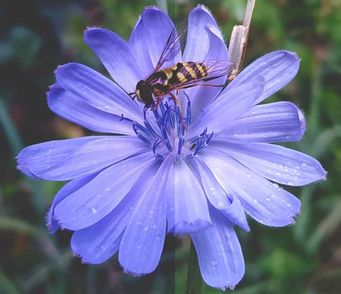 FB_IMG_1680373865988