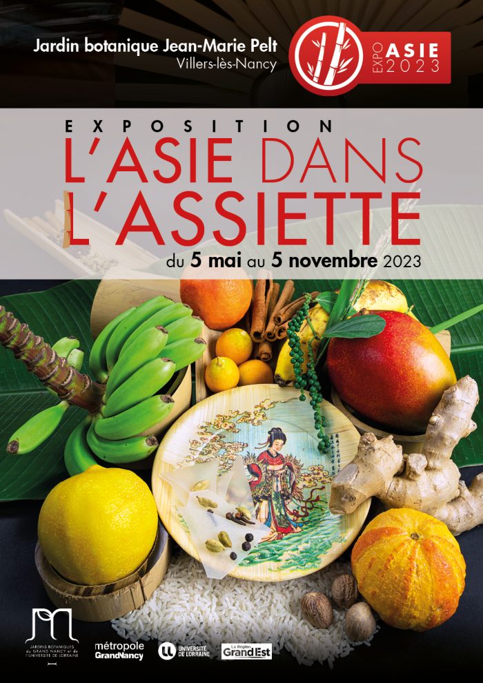 L'Asie dans l'assiette