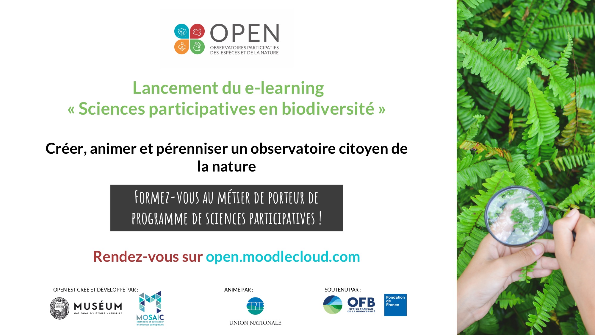Un nuevo curso en línea sobre Ciencias Participativas en Biodiversidad – Tela Botánica