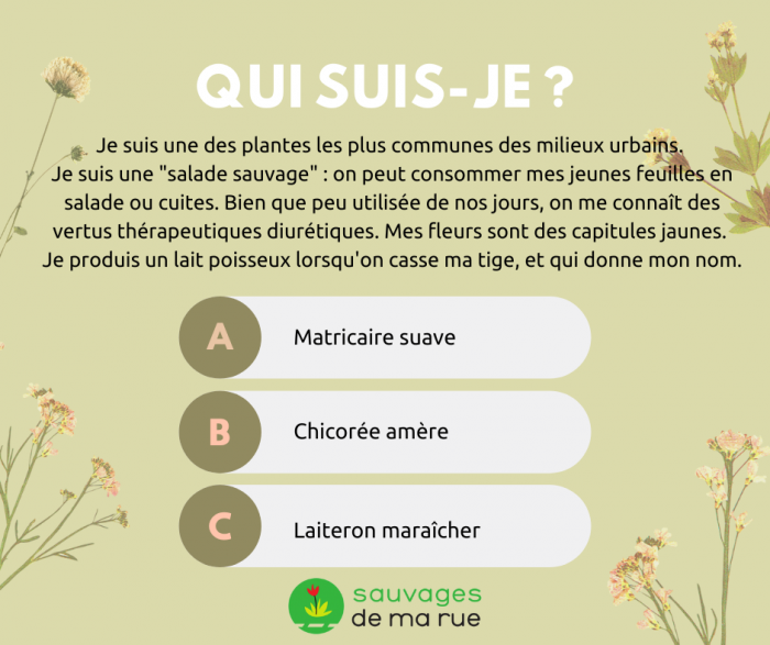 Présentation en image de la question