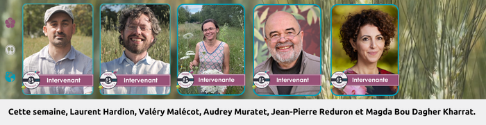 Bandeau Actu 700 x 180