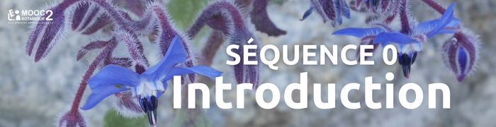 Bandeau Actu 700 x 180