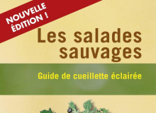couverture les salades sauvages