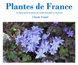 Plantes de France 