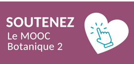 Soutenir-MOOC Bota