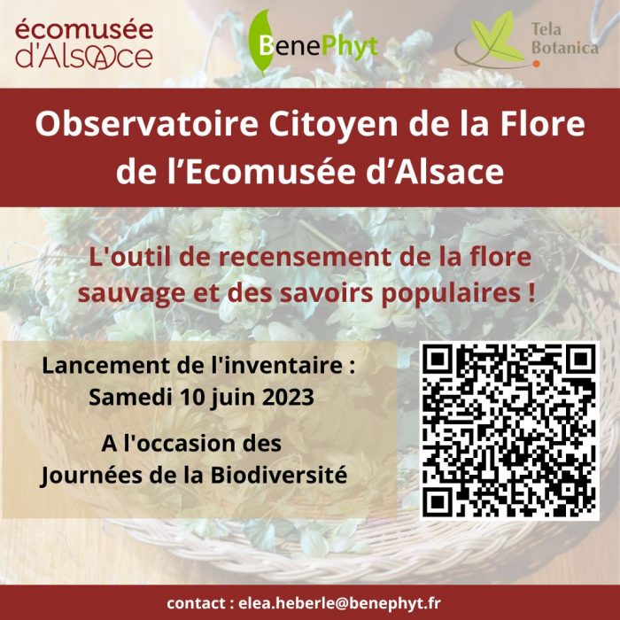Observatoire Citoyen de la Flore de l’Ecomusée d’Alsace