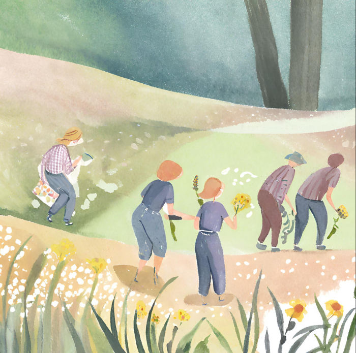 Illustration2 - Canva