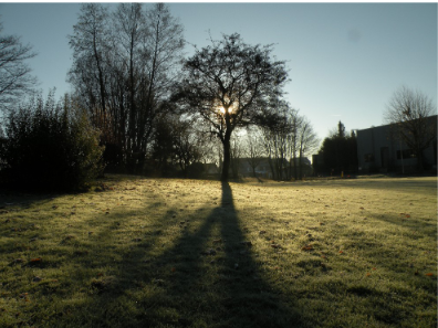 Image fournie par l'auteur