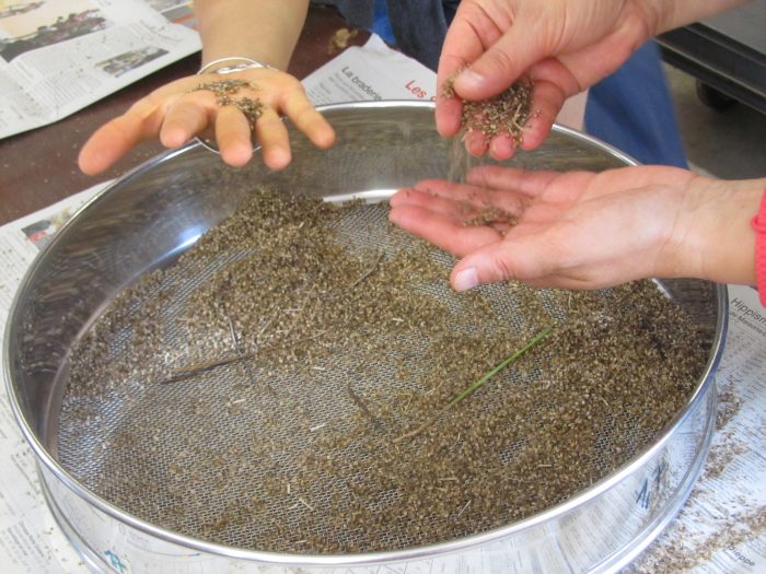 2019_08_29 et 30 stage produire ses S&P (30)