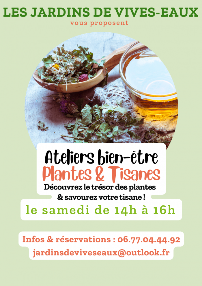 ATELIER PLANTES ET TISANES