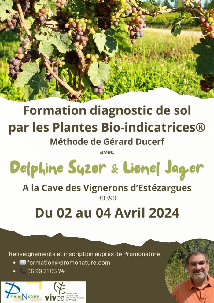 Flyer formation du 02 au 04 Juin 2024 - Cave d'Estézargues