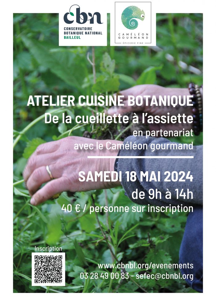 Atelier cuisine botanique Caméléon 18.05.2024