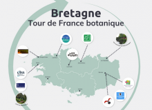 Tour de france botanique Bretagne