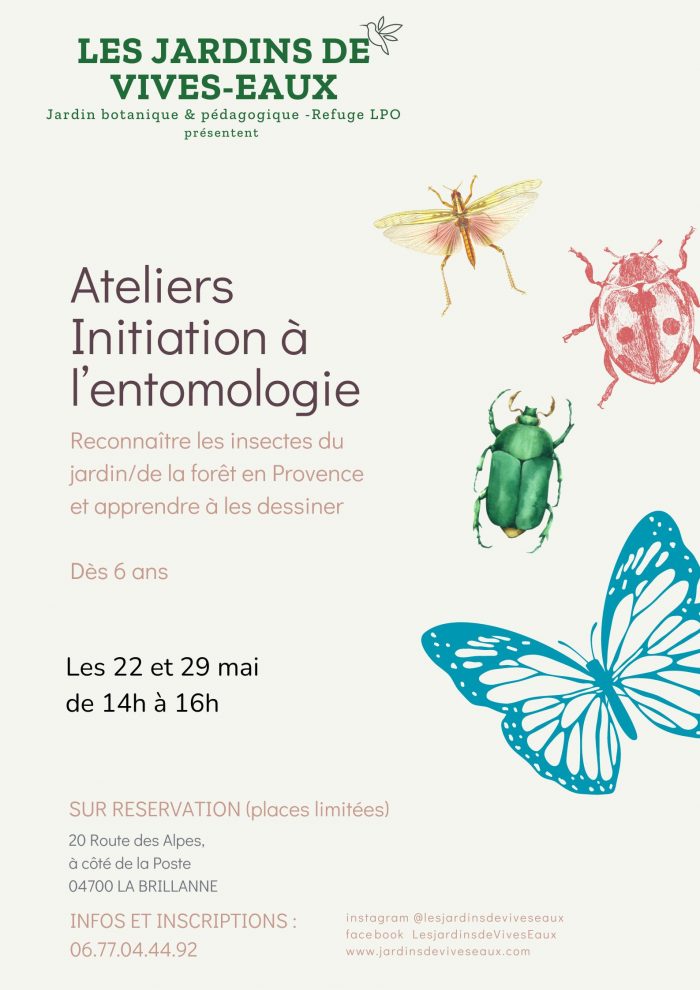 Ateliers entomo mai 2024