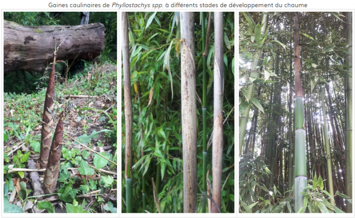 Capture d'écran 2024-05-21 092154