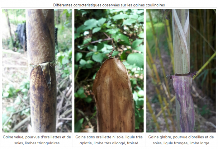 Capture d'écran 2024-05-21 092235