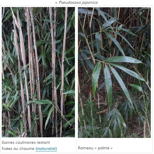 Capture d'écran 2024-05-21 093051