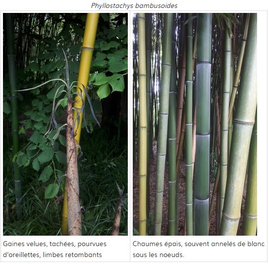 Capture d'écran 2024-05-21 093502