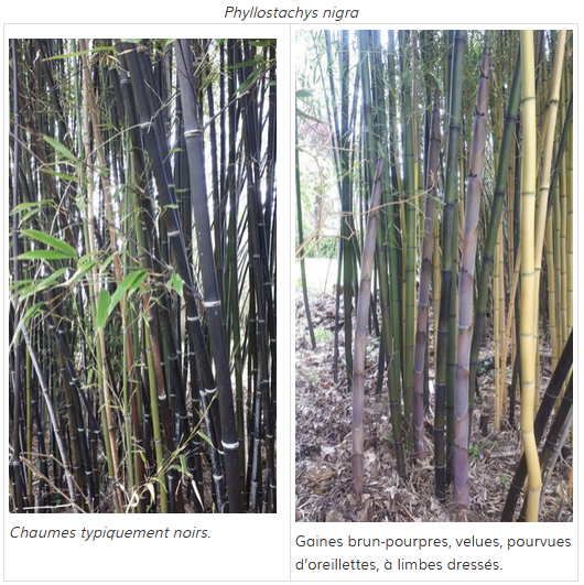 Capture d'écran 2024-05-21 093730