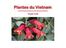 Plantes du Vietnam