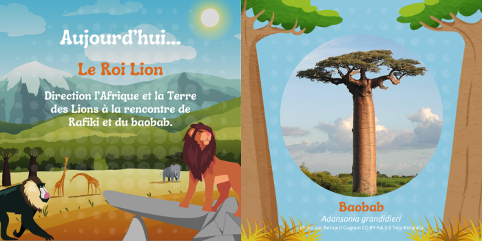 Textes et illustrations par Tela Botanica CC BY-SA 3.0. - Images Canva et photo Wikipédia