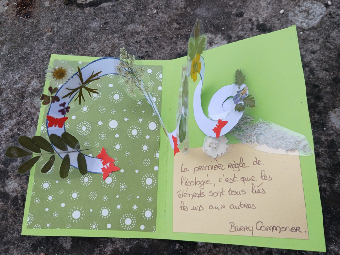 Capture d'écran 2025-11-13 150141