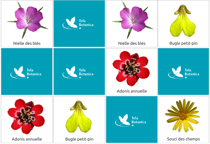 Image grande en haut d'une actu (700 x 480px)