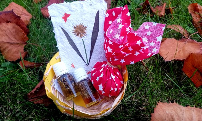 visuel helloasso-ad66631bab5c4d4bbcfdf3bce94646e8