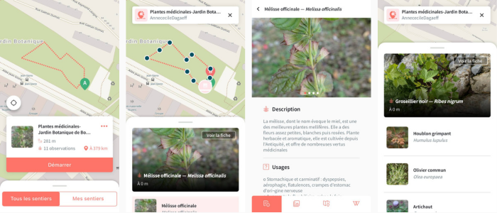 Sentier Smart'Flore au Jardin botanique de Bordeaux CC BY-SA Tela Botanica
