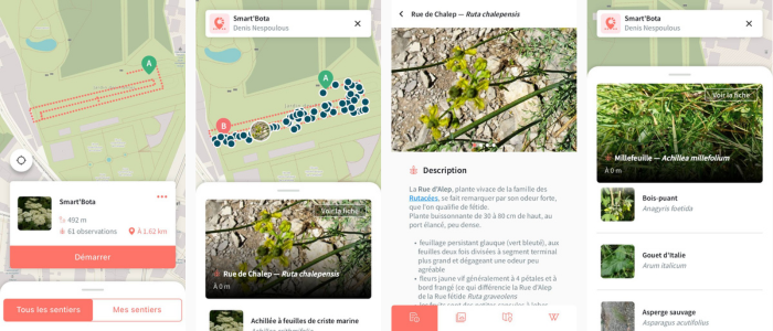 Sentier Smart'Flore au Jardin des plantes de Montpellier CC BY-SA Tela Botanica