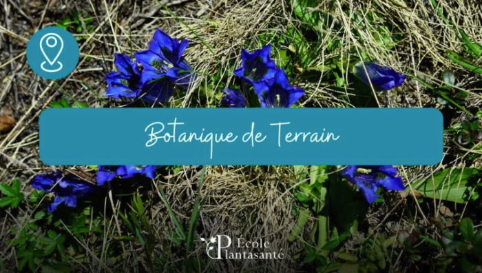 Capture d’écran 2025-04-29 à 16.46.21