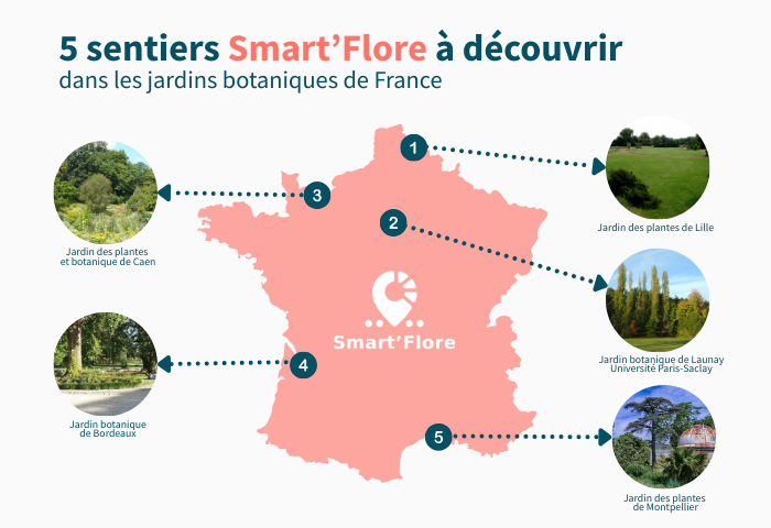 5 sentiers Smart’Flore à découvrir dans les jardins botaniques de France