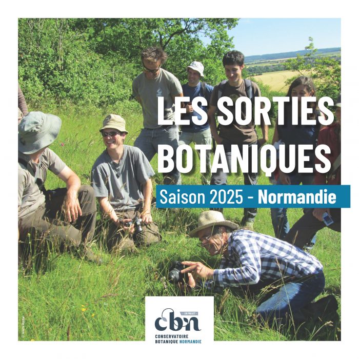 Programme sorties botaniques Normandie 2025_Page_01