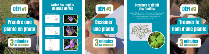 Défis 3 minutes de botanique