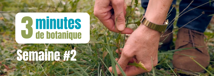 Bandeau Actu Moyen (700 x 250 px)(21)