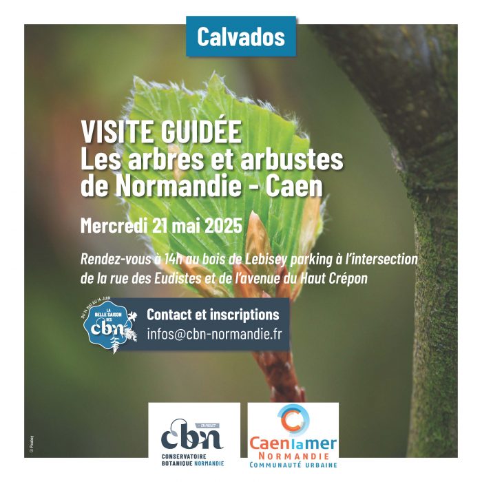 Programme sorties botaniques Normandie 2025_Page_03
