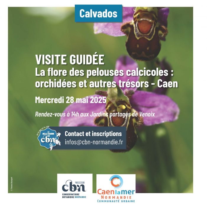 Programme sorties botaniques Normandie 2025_Page_04
