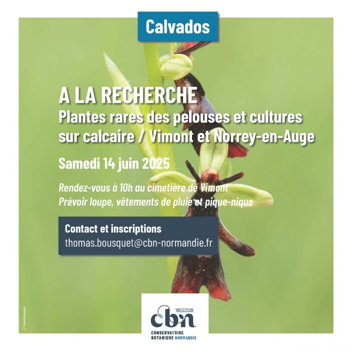 Programme sorties botaniques Normandie 2025_Page_06