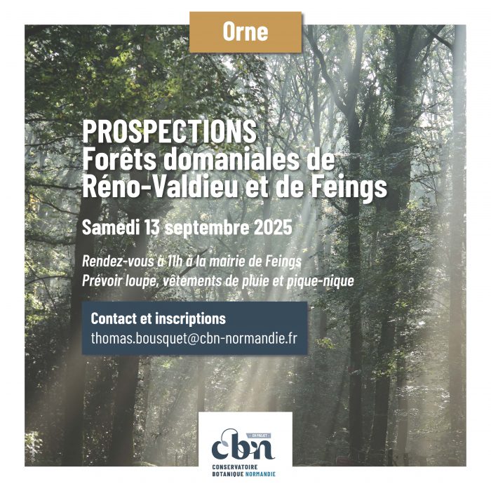 Programme sorties botaniques Normandie 2025_Page_09