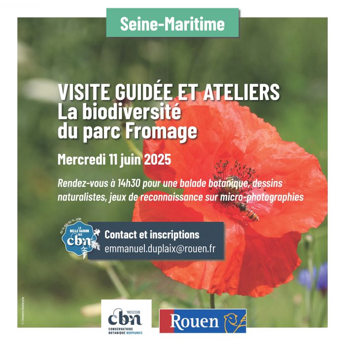 Programme sorties botaniques Normandie 2025_Page_14