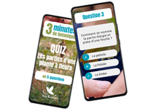 Vignette - Liste d'articles Site TB (220160)(9)