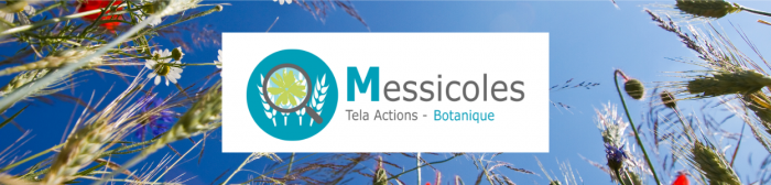 Bandeau Tela Action - Onglet Séquence- 1000300px (11)