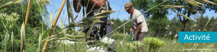 Bandeau Tela Action - Onglet Séquence- 1000300px (13)