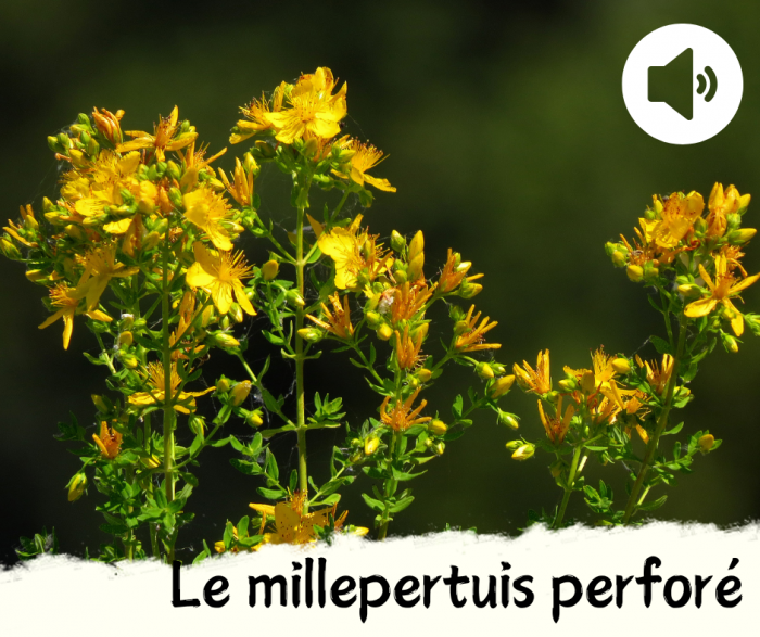 Couvertures-SAH-Acast-3