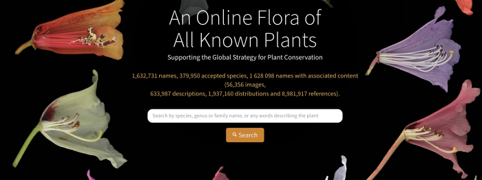 World.flora.online.Sondage