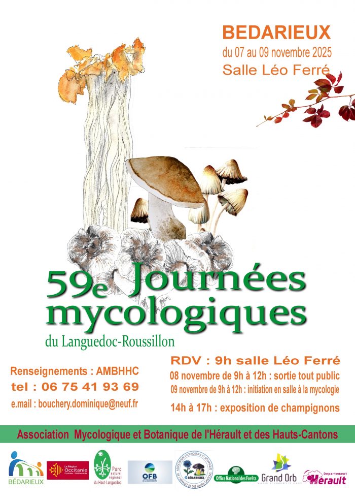 affiche mycologie