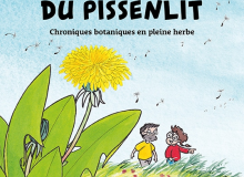 A l’ombre du pissenlit