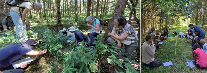 Bandeau Actu Moyen (700 x 250 px)-2